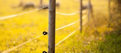 Dicas para construir uma cerca elétrica rural