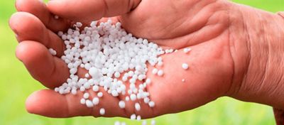 Nitrogênio na adubação de pastagens no período das águas