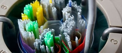 Genética Animal: o que os olhos não veem, mas o bolso sente