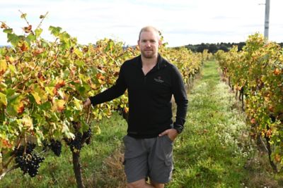 Paul Robinson in vineyard
