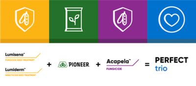 lumisena, lumiderm, pioneer and acapela