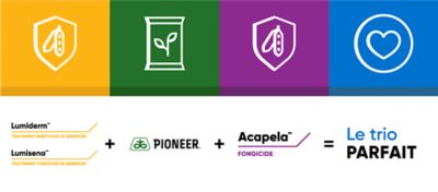 French Acapela, lumiderm, lumisena and pioneer seeds