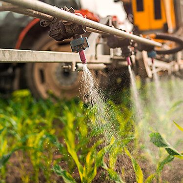 Sprayer in low sun