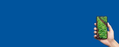 Cotton Agronomy Straight to Your Inbox