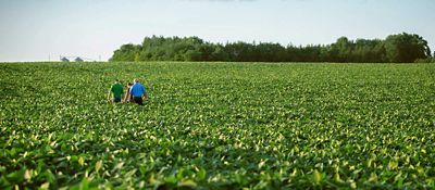 Pioneer Soybeans - Join the Leader