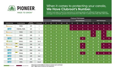 Clubroot Pathotypes chart
