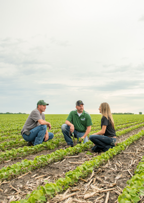 pioneer reps crouching in soybean field