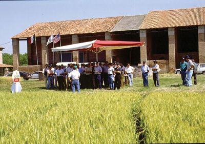 Pioneer 100 años archivo 10