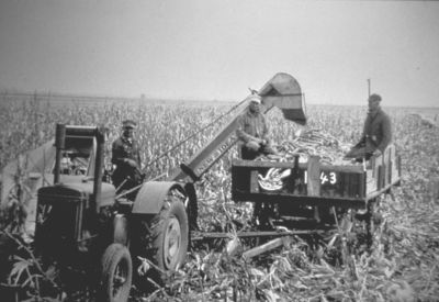 Pioneer 100 años archivo 7