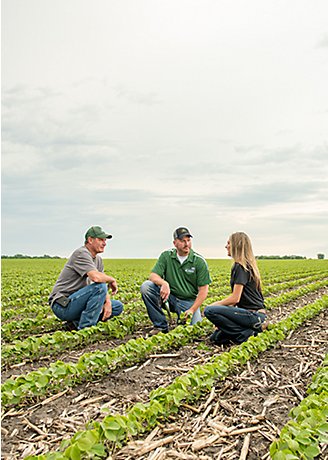 Pioneer reps in a soybean field