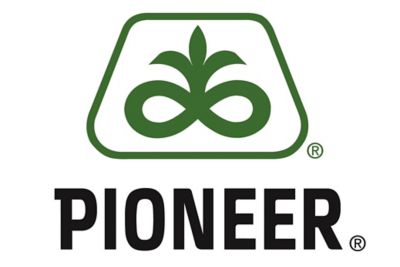Pioneer Logo