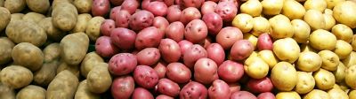Solutions pour pomme de terre