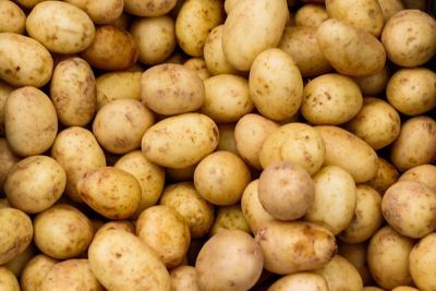 Potato Banner