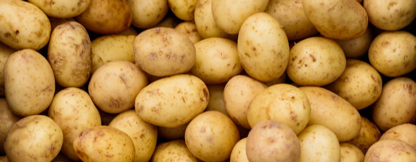 Potato Banner