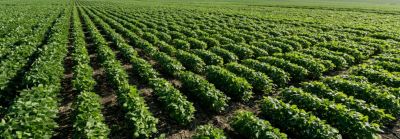 Product and Solutions Image