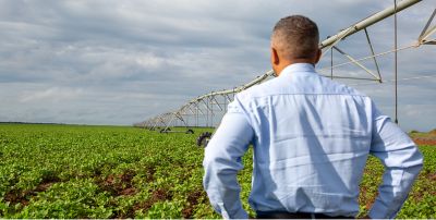 Agricultor vestindo camisa social azul clara, de costas, observando com as mãos na cintura uma extensa lavoura de soja em estágio vegetativo inicial, com folhas verdes vigorosas e solo avermelhado exposto. Ao fundo, um grande sistema de irrigação por pivô central se estende pelo campo, sob um céu parcialmente nublado com luz natural difusa.