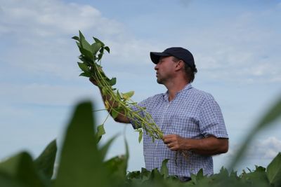 Agricultor com boné escuro e camisa xadrez azul e branca segurando e inspecionando de perto uma planta de soja arrancada com raízes expostas, avaliando o desenvolvimento radicular e possíveis sinais de pragas ou doenças. Ao fundo desfocado, folhas verdes de plantas da lavoura e um céu azul com nuvens compõem o ambiente de campo aberto, ilustrando o monitoramento de pragas como parte das práticas sustentáveis na agricultura.