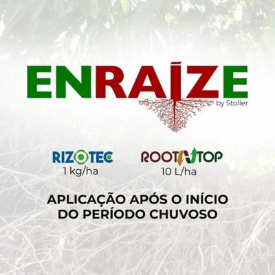 Enraize