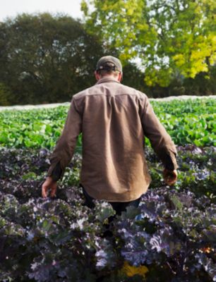 Anúncio da Corteva coloca em xeque futuro do clorpirifós :: Repórter Agro