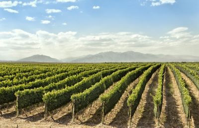 Proteção de culturas