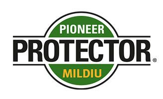 Logotipo Protector