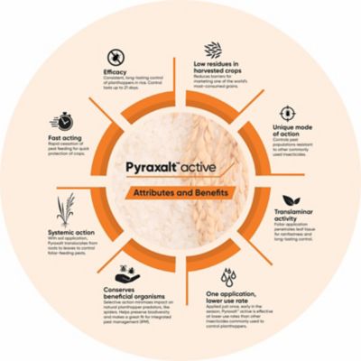 IMG-Pyraxalt-Benefit-infographic