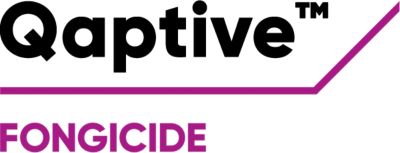 Brand_Logo