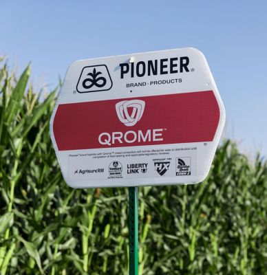 Photo - Qrome field sign - corn plants in background