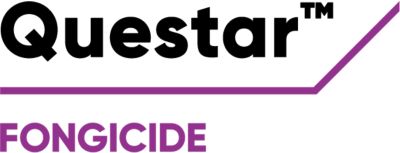 Brand_Logo