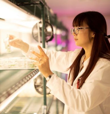 Ag Scientist Woman in Greenhouse