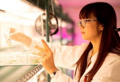 Woman scientist inspecting a sample in a lab