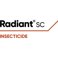 Radiant SC Logo