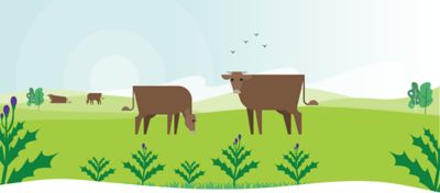 Herbicide Spot Application Rates