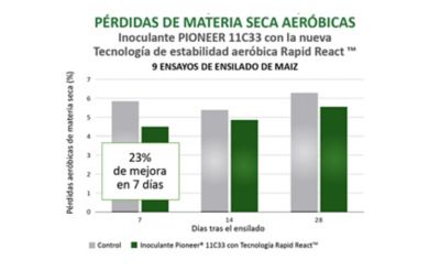 Rapid React gráfica Pérdidas de materia seca aeróbicas