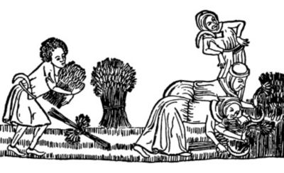 Reaping Grain the 14th Century, vintage illustration - Timeline of crop protection advances