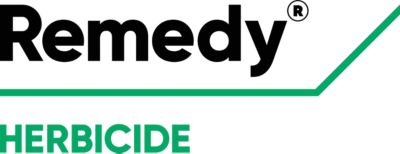 Remedy logo