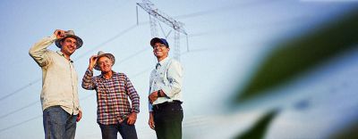 Imagem de homens saudando numa lavoura