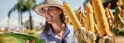 Representante Pioneer na lavoura de milho