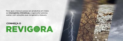 revigora