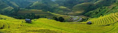 Scenic view of terraced rice fields in Vietnam.