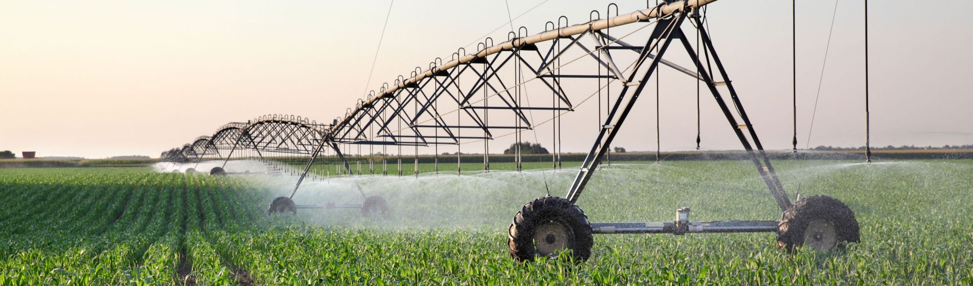 Riego, Día Mundial del Agua
