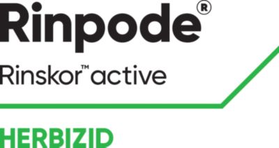 Rinpode Logo