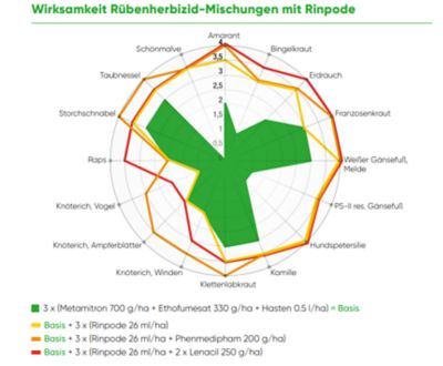 Rinpode Wirksamkeit