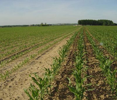 Piloter mes semis de maïs avec Sem’Expert