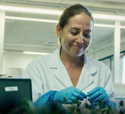 No champs d’action : santé végétale