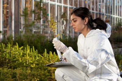 Female scientist checking plant