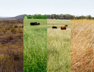 Seasonal guide to Pasture Management cover