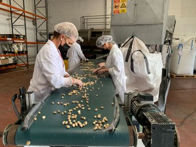 Selección de pistachos