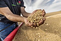 Imagen de manos con semillas desktop