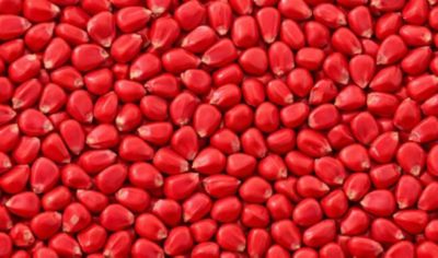 Service « Premium Scan »